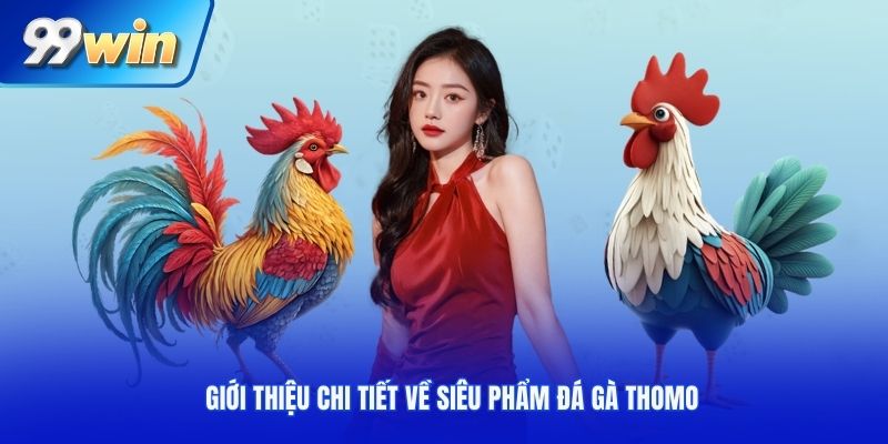Giới thiệu chi tiết về siêu phẩm đá gà Thomo